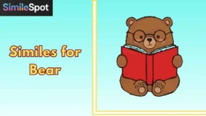 Similes for Bear