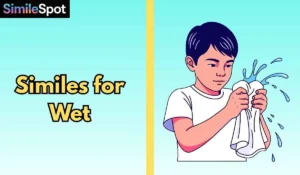 Similes for Wet