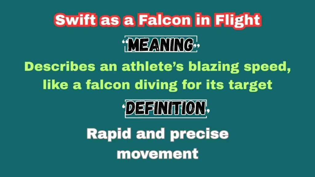 Swift as a Falcon in Flight