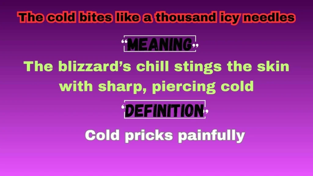 The cold bites like a thousand icy needles