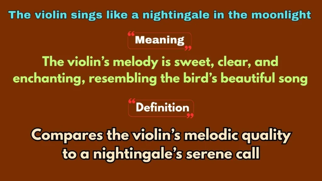 The violin sings like a nightingale in the moonlight
