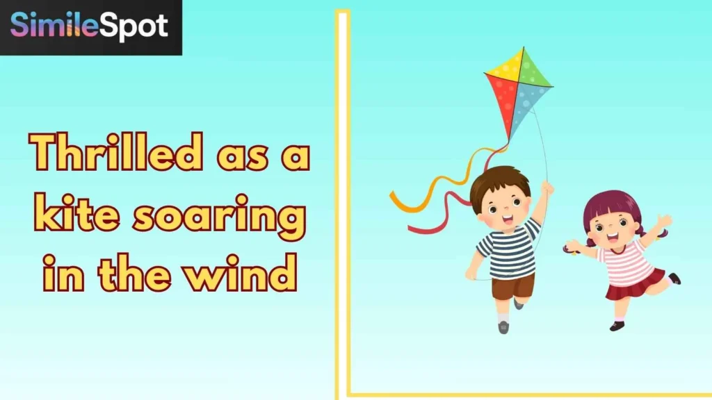 Thrilled as a kite soaring in the wind