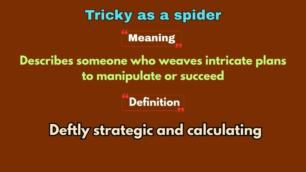 Tricky as a spider