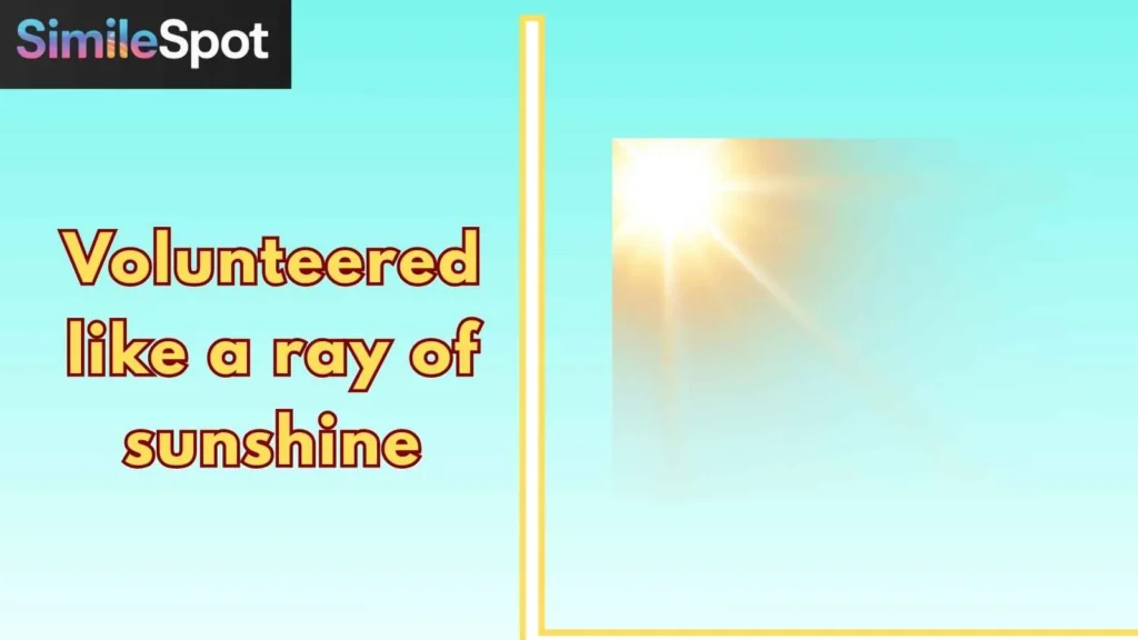 Volunteered like a ray of sunshine