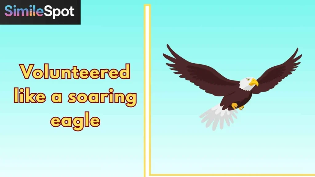 Volunteered like a soaring eagle