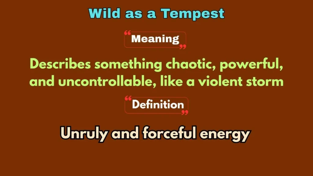 Wild as a Tempest