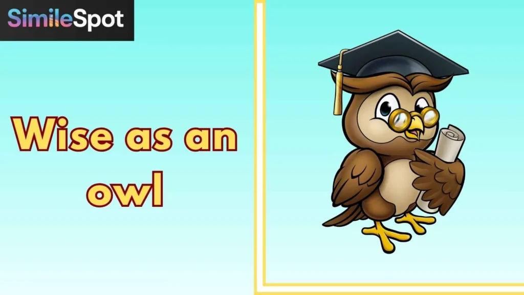 Wise as an owl