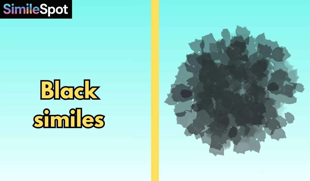 Black similes