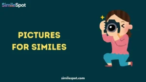pictures for similes