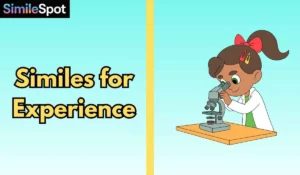 Similes for Experience