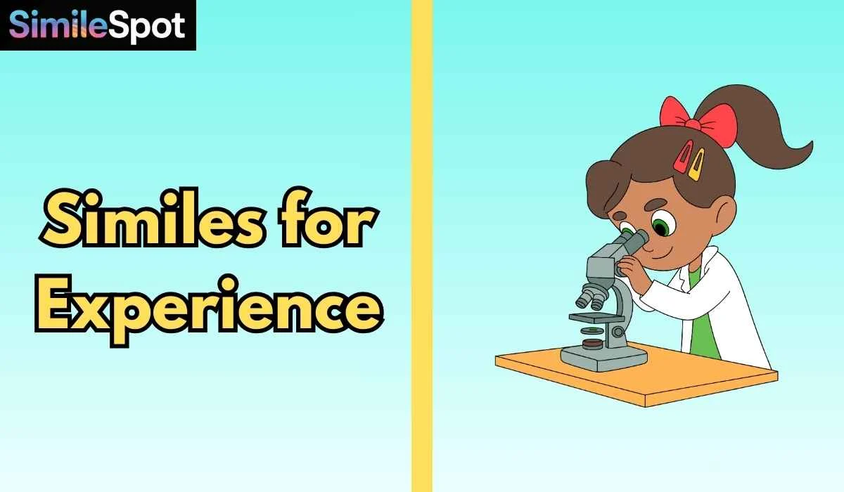 Similes for Experience