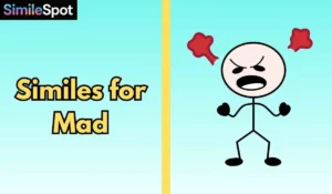 Similes for Mad