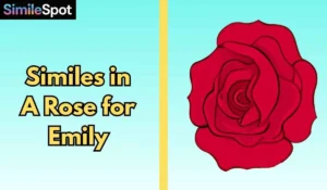 Similes in A Rose for Emily
