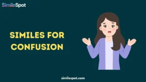 Similes for Confusion