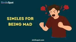 Similes for Being Mad