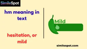 hm meaning in text