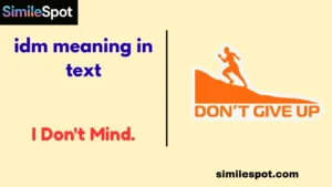 idm meaning in text