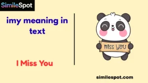imy meaning in text