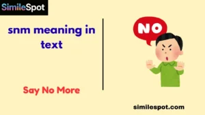 snm meaning in text