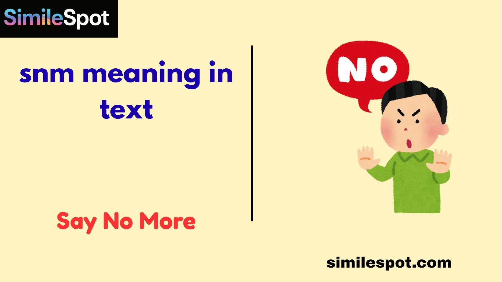 snm meaning in text