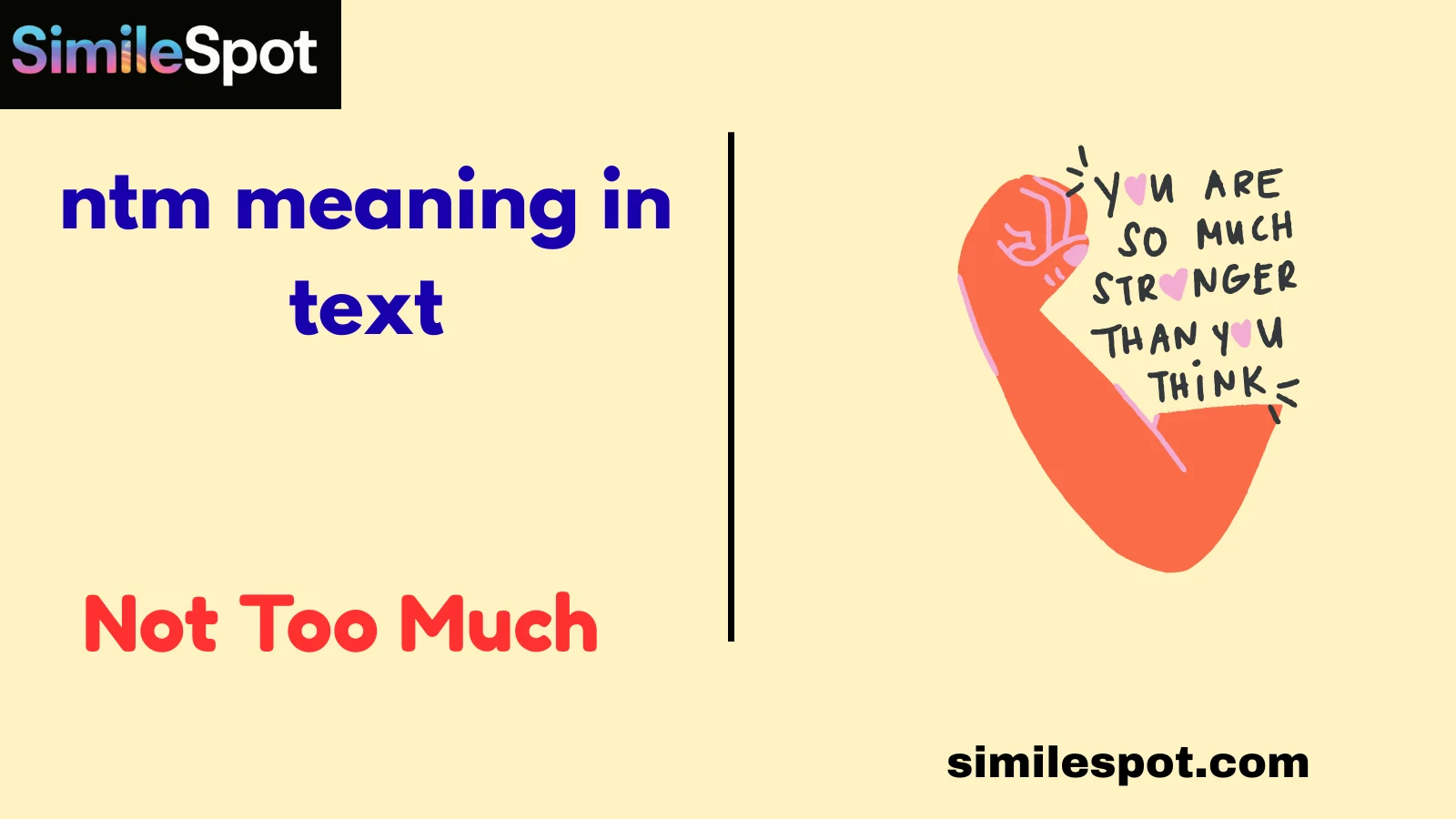 ntm meaning in text