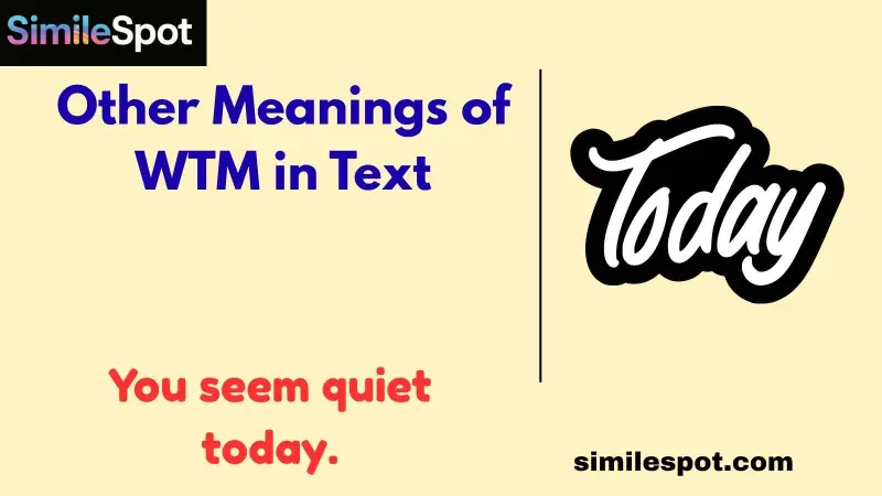 Other Meanings of WTM in Text