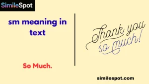 sm meaning in text