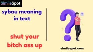 sybau meaning in text