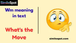 Wm meaning in text