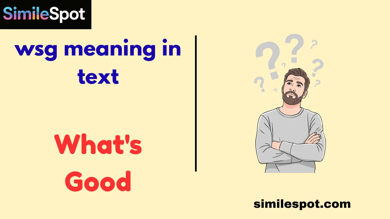 wsg meaning in text