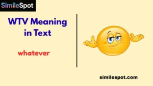 WTV Meaning in Text