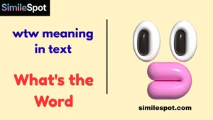 wtw meaning in text