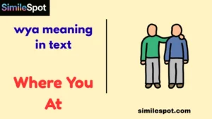 wya meaning in text