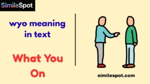 wyo meaning in text