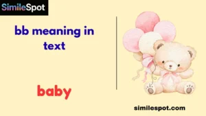 bb meaning in text
