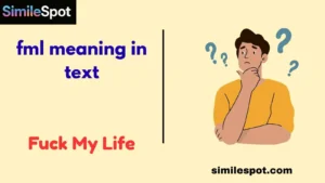fml meaning in text