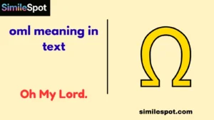 oml meaning in text