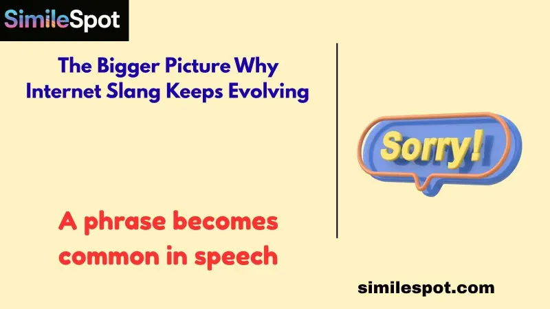 The Bigger Picture Why Internet Slang Keeps Evolving 