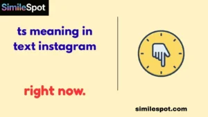 ts meaning in text instagram