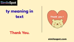 ty meaning in text