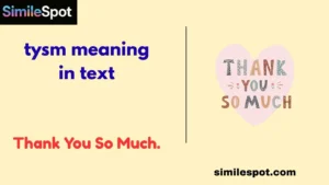 TYSM Meaning in Text