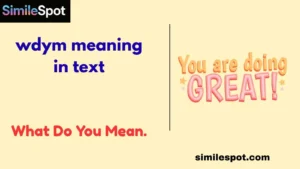WDYM Meaning in Text