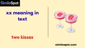 xx meaning in text