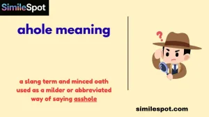 ahole meaning