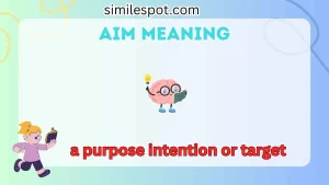 aim meaning