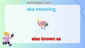 aka meaning