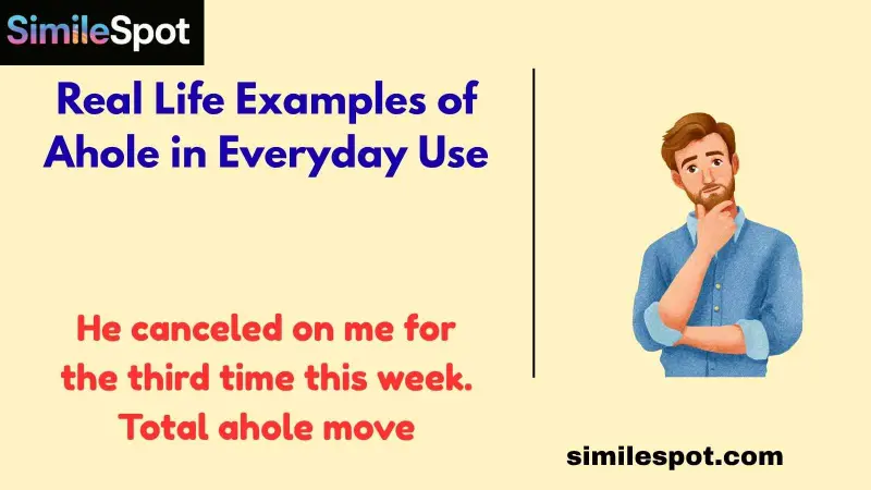 Real Life Examples of Ahole in Everyday Use