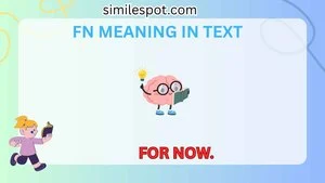 fn meaning in text
