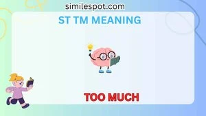 st tm meaning