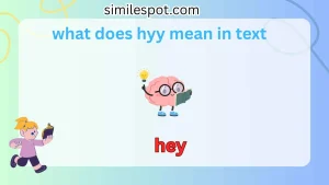 what does hyy mean in text